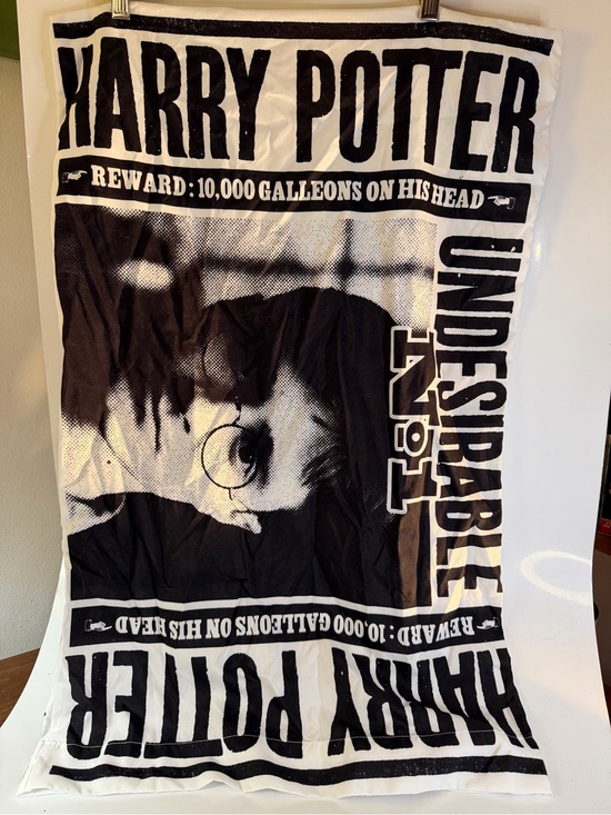 Harry Potter Other - Harry Potter Undesirable No. 1 Black & White Pillow Case